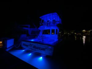 Underwater Lighting Installation Jupiter FL